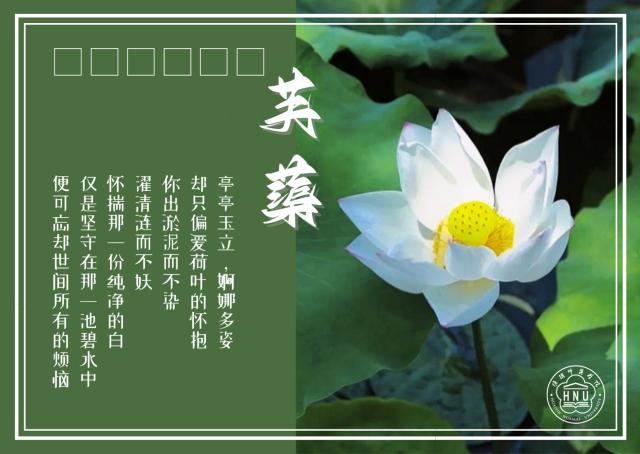 江苏教育发布 光影校园 相逢有期 花开有时 淮阴师范学院