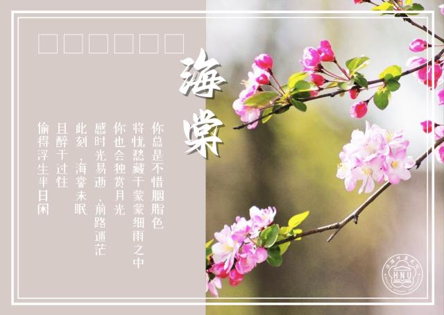 江苏教育发布 光影校园 相逢有期 花开有时 淮阴师范学院